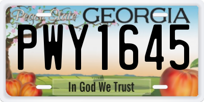 GA license plate PWY1645