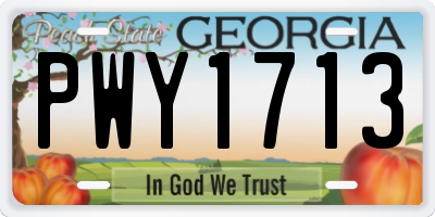GA license plate PWY1713