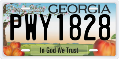 GA license plate PWY1828