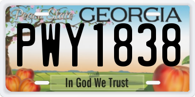 GA license plate PWY1838