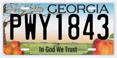 GA license plate PWY1843