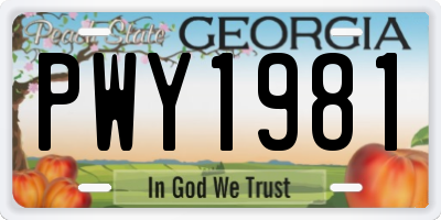 GA license plate PWY1981