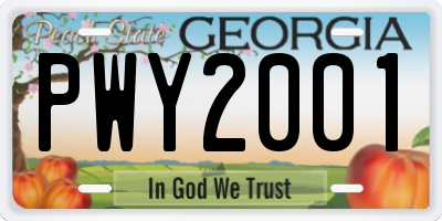 GA license plate PWY2001