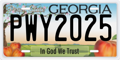 GA license plate PWY2025