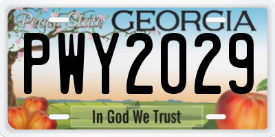 GA license plate PWY2029