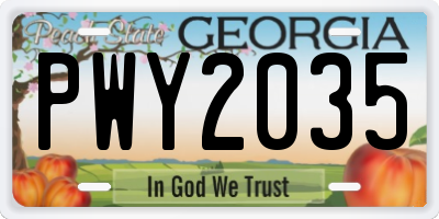 GA license plate PWY2035