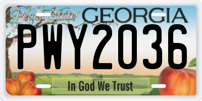 GA license plate PWY2036