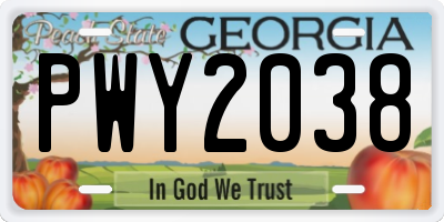GA license plate PWY2038