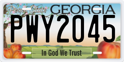 GA license plate PWY2045