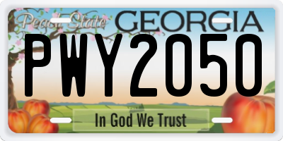 GA license plate PWY2050
