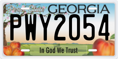 GA license plate PWY2054