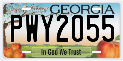 GA license plate PWY2055