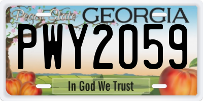 GA license plate PWY2059