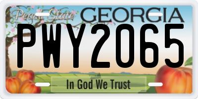 GA license plate PWY2065