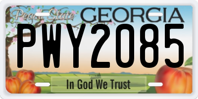 GA license plate PWY2085