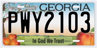 GA license plate PWY2103
