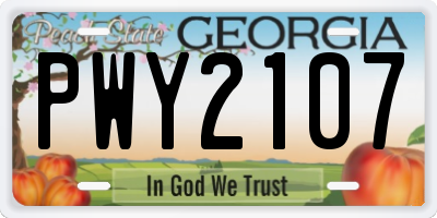 GA license plate PWY2107