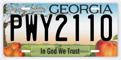 GA license plate PWY2110