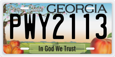 GA license plate PWY2113