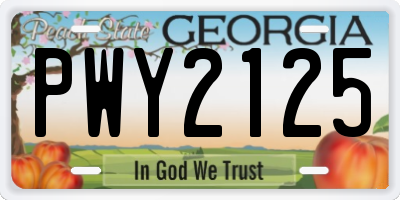 GA license plate PWY2125