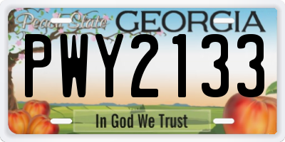 GA license plate PWY2133