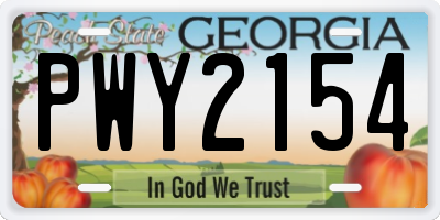GA license plate PWY2154