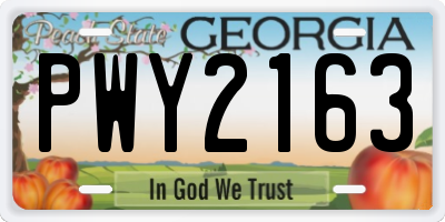 GA license plate PWY2163