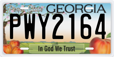GA license plate PWY2164