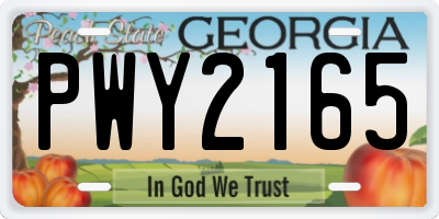 GA license plate PWY2165