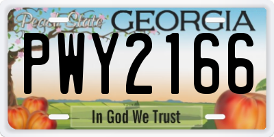 GA license plate PWY2166
