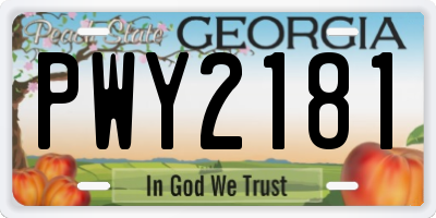 GA license plate PWY2181