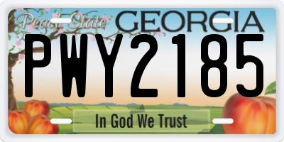 GA license plate PWY2185