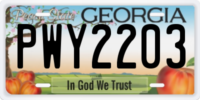 GA license plate PWY2203