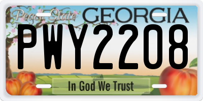 GA license plate PWY2208