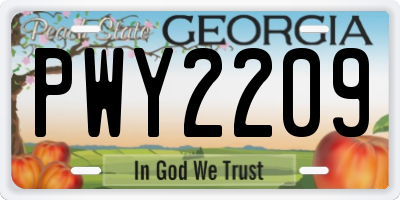 GA license plate PWY2209