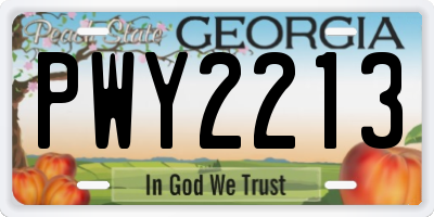 GA license plate PWY2213