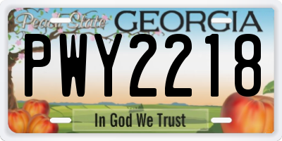 GA license plate PWY2218