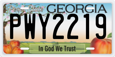 GA license plate PWY2219
