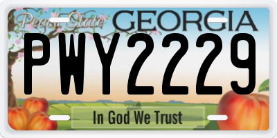 GA license plate PWY2229