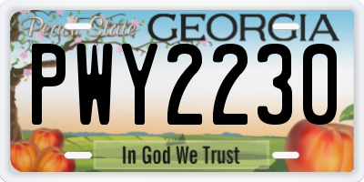GA license plate PWY2230