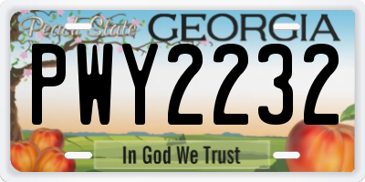 GA license plate PWY2232
