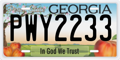 GA license plate PWY2233