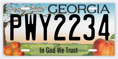 GA license plate PWY2234