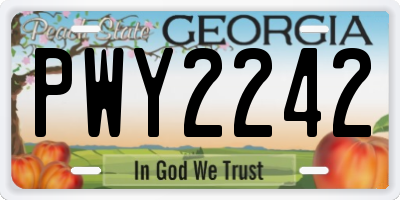 GA license plate PWY2242