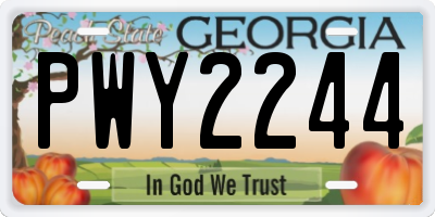 GA license plate PWY2244