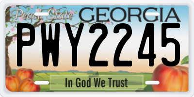 GA license plate PWY2245