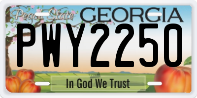 GA license plate PWY2250