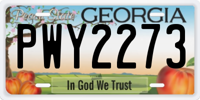 GA license plate PWY2273
