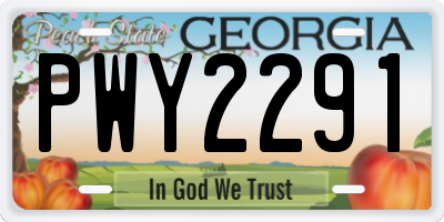 GA license plate PWY2291