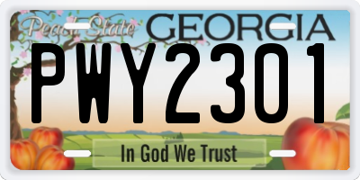 GA license plate PWY2301